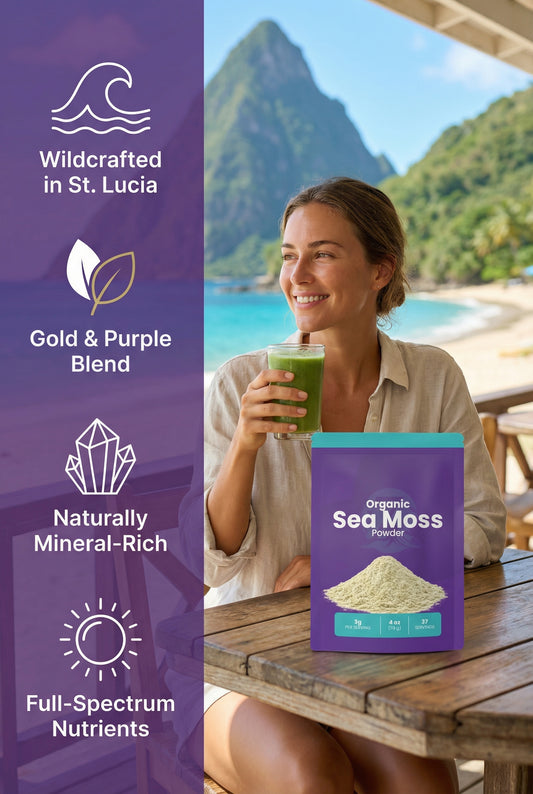 Organic Sea Moss Powder – Wildcrafted St. Lucia Gold & Purple Blend